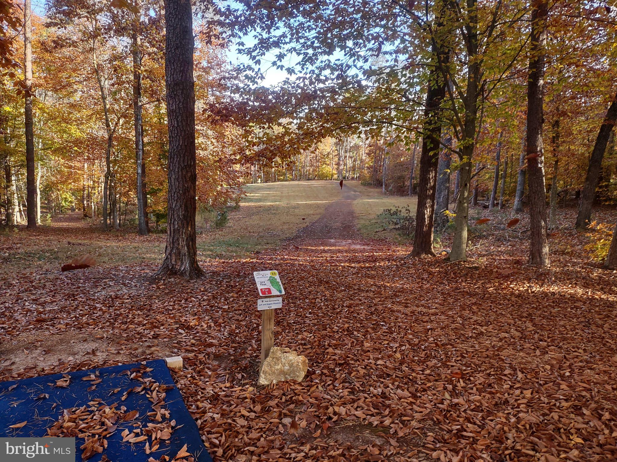 739 Sunset Loop Mineral, VA 23117 - Photo 49 of 56