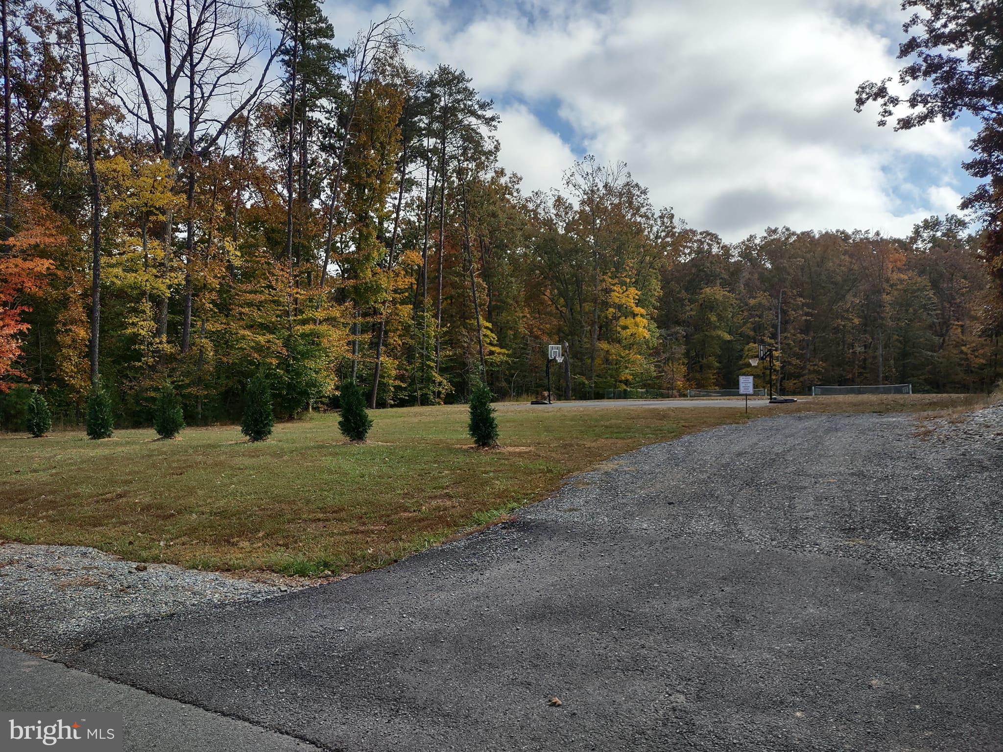 739 Sunset Loop Mineral, VA 23117 - Photo 51 of 56