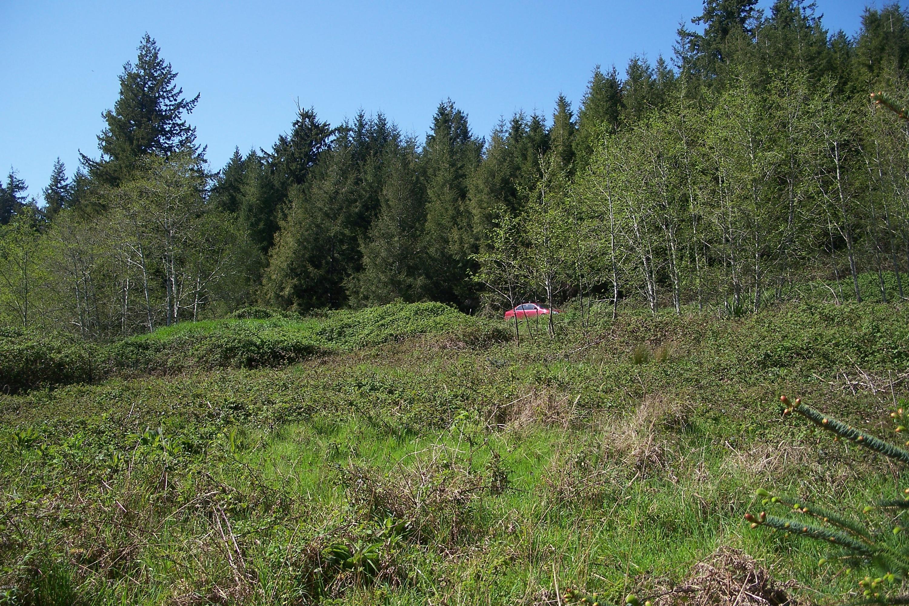 3436 North Bayview Road Waldport, OR 97394 - Photo 3 of 7 100_1336