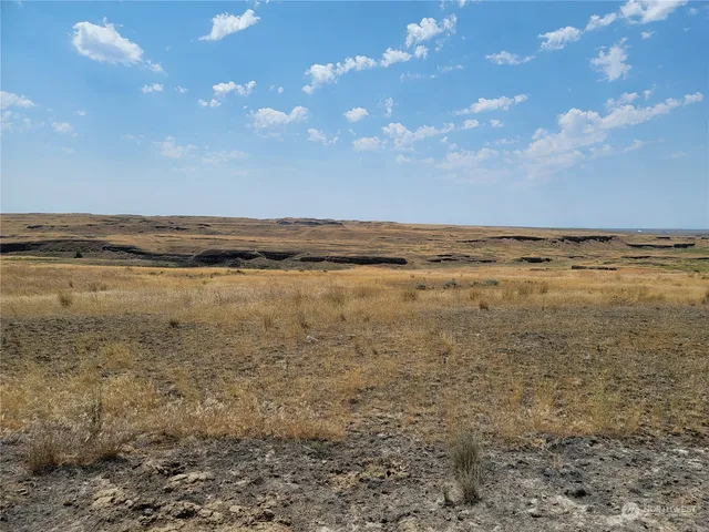 a view of an ocean beach