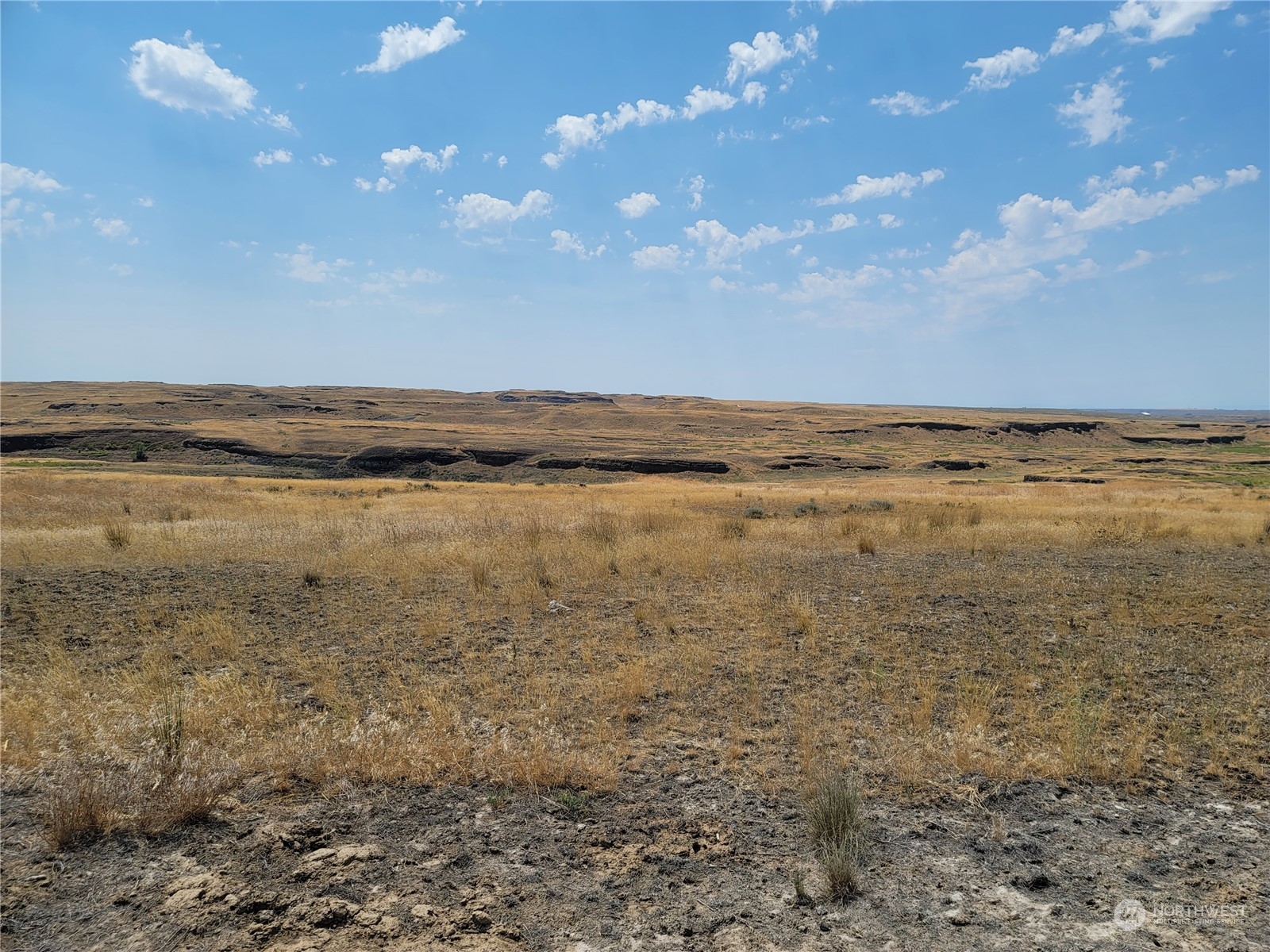 0 Lot 38 Eagle Springs Ranch Marlin, WA 98832 - Photo 18 of 29 a view of an ocean beach