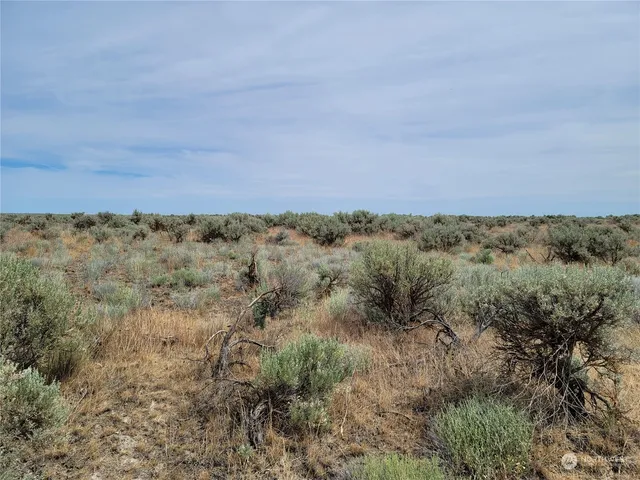 a view of a field of grass and trees