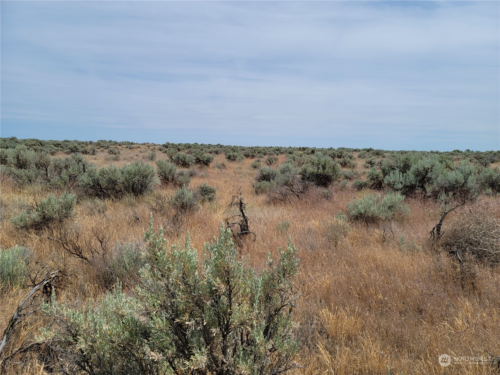0 Lot 38 Eagle Springs Ranch Marlin, WA 98832 - Photo 20 of 29 a view of a field of grass and trees