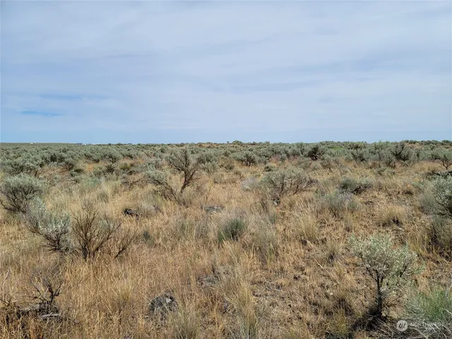 a view of a lake with a mountain in the background