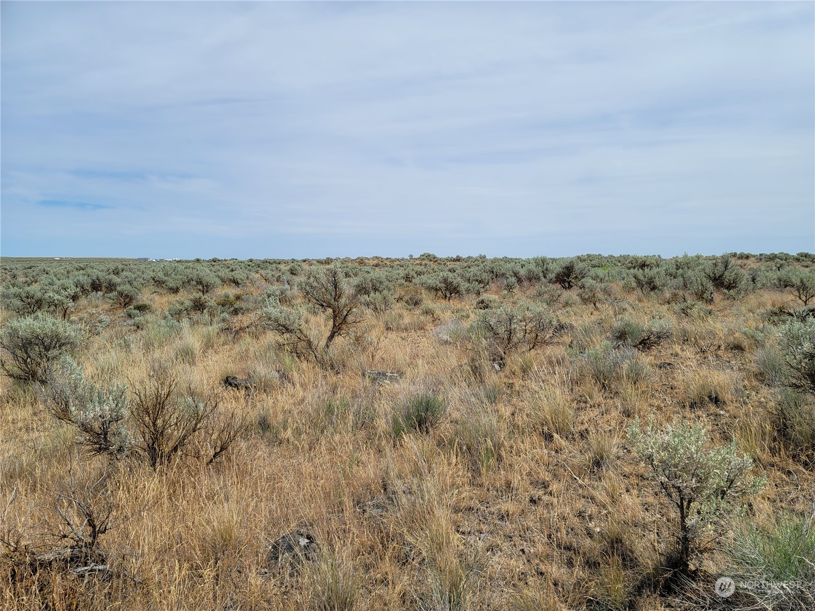 0 Lot 38 Eagle Springs Ranch Marlin, WA 98832 - Photo 21 of 29