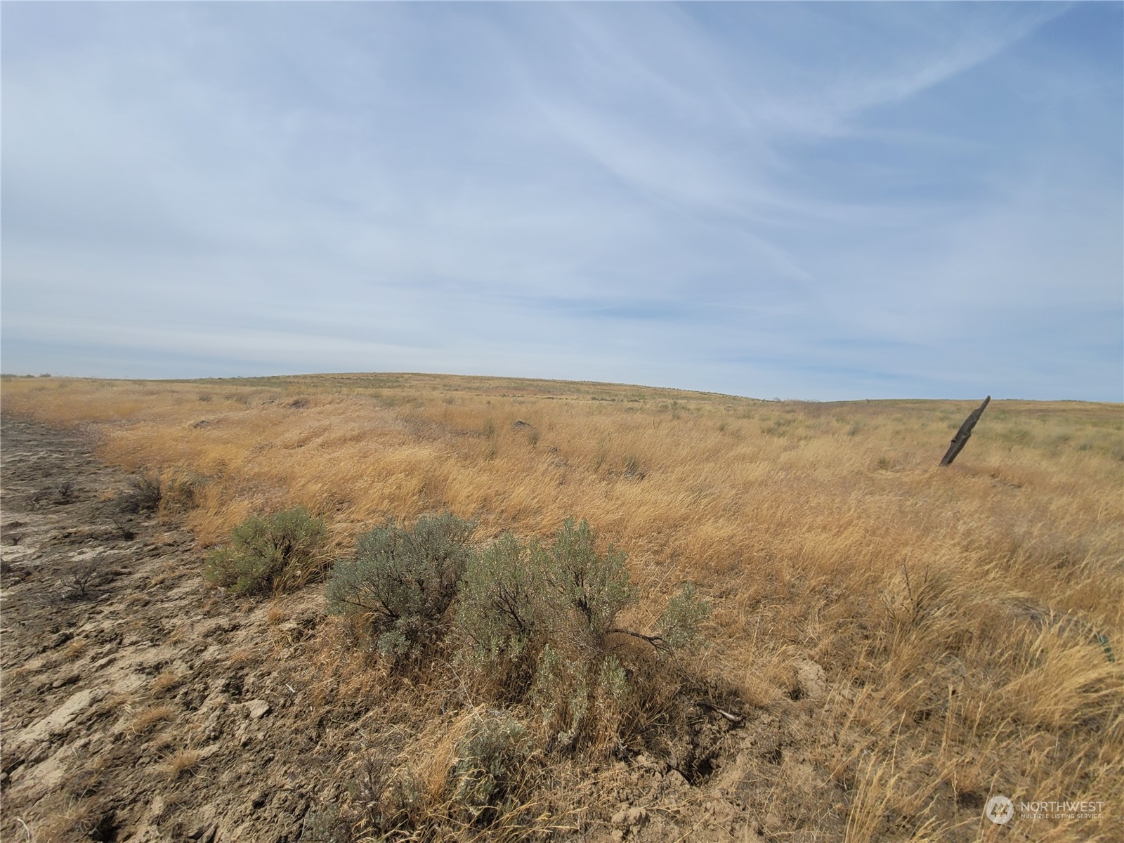 0 Lot 38 Eagle Springs Ranch Marlin, WA 98832 - Photo 23 of 29 a view of an ocean