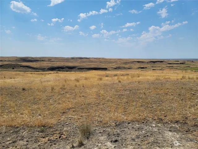 a view of an ocean and beach