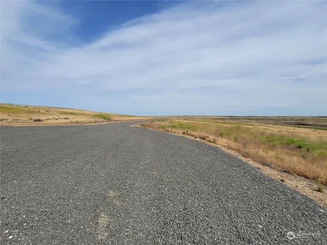 a view of a dry yard with wooden fence