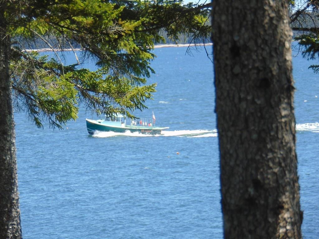 29 Granite Shore Milbridge, ME 04658 - Photo 34 of 35 **NOTE TO SELF*** Get to know the...