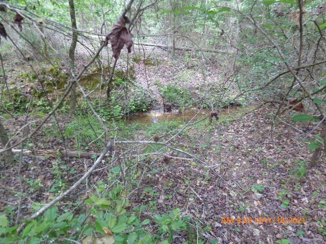 Lot 2 Irving Road Monetta, SC 29105 - Photo 2 of 3