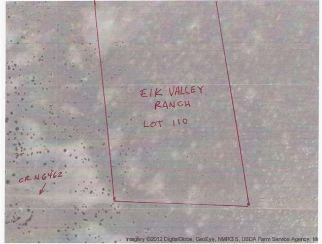 Lot 110 Elk Valley Ranch St. Johns, AZ 85936 - Photo 4 of 8