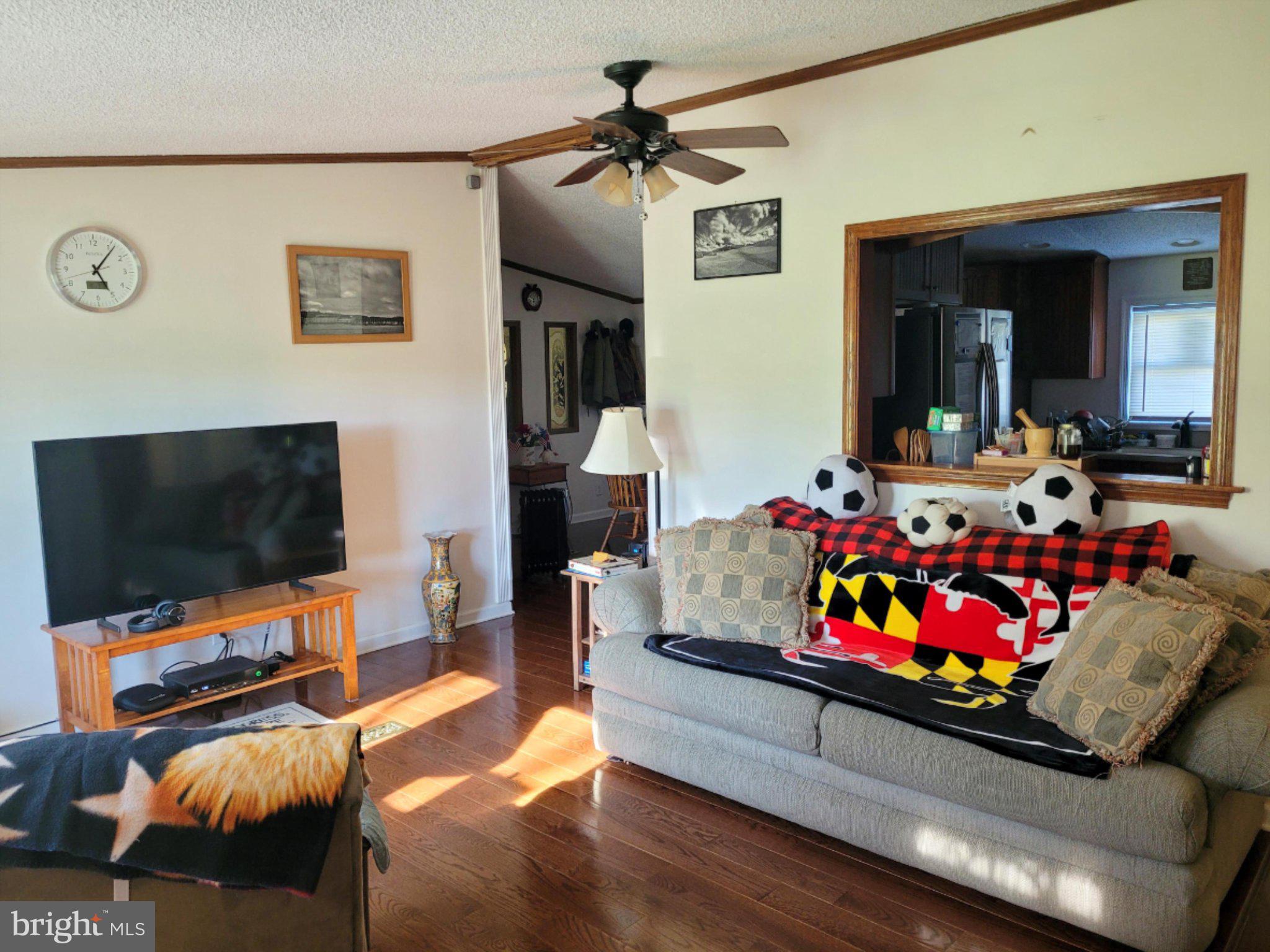1729 Colora Road Colora, MD 21917 - Photo 16 of 21 Cozy living space with vibrant accents.
