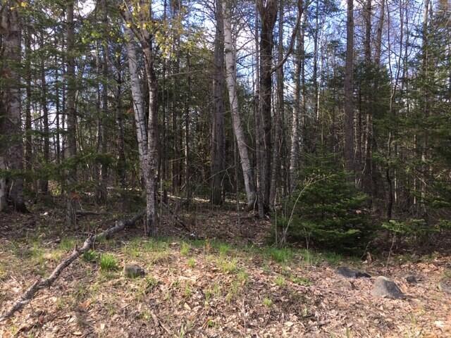 Lot 302 Stream Road St. Albans, ME 04971 - Photo 1 of 6 Land1