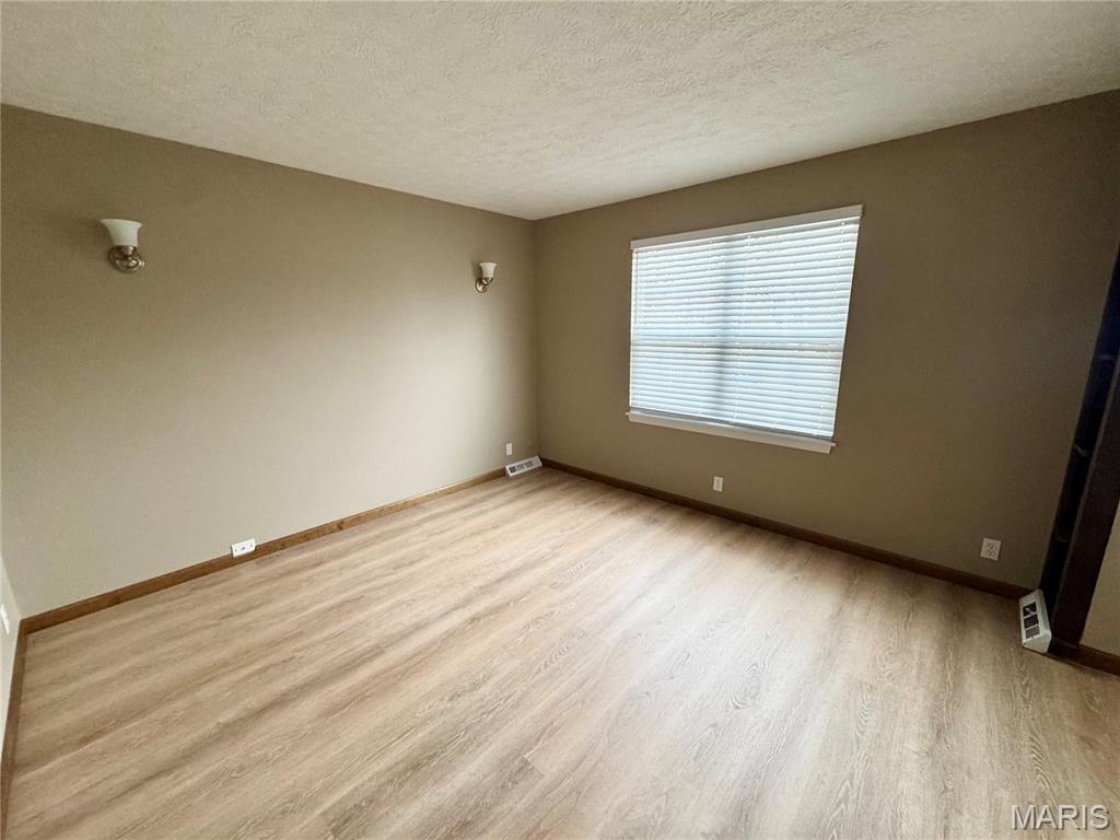 310 North Vernon Street, Unit 4 Marine, IL 62061 - Photo 12 of 20