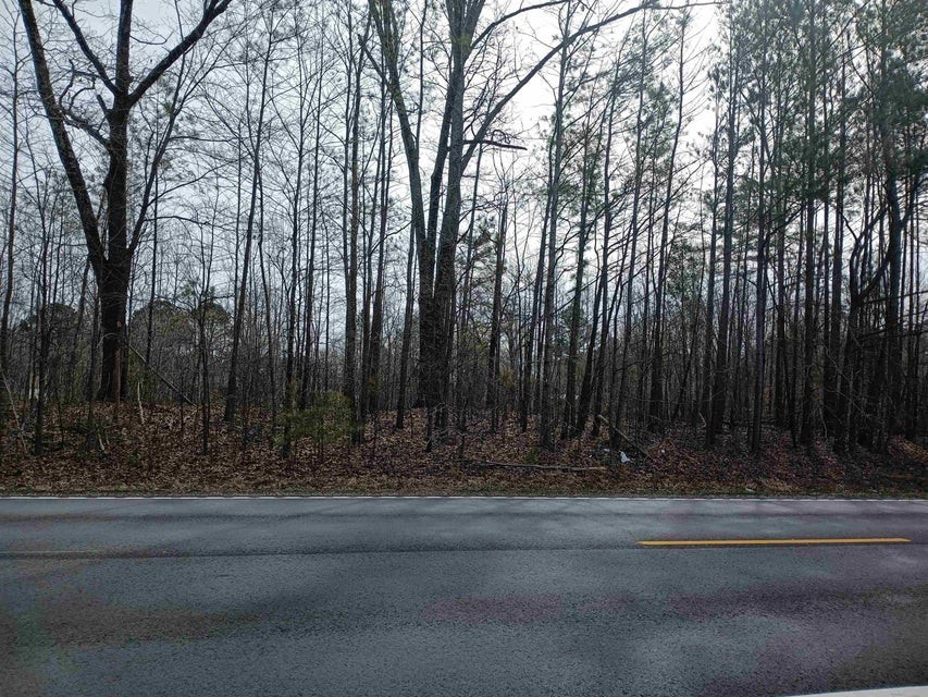 0 Highway 18 Medon, TN 38356 - Photo 6 of 9 a view of a yard with large trees