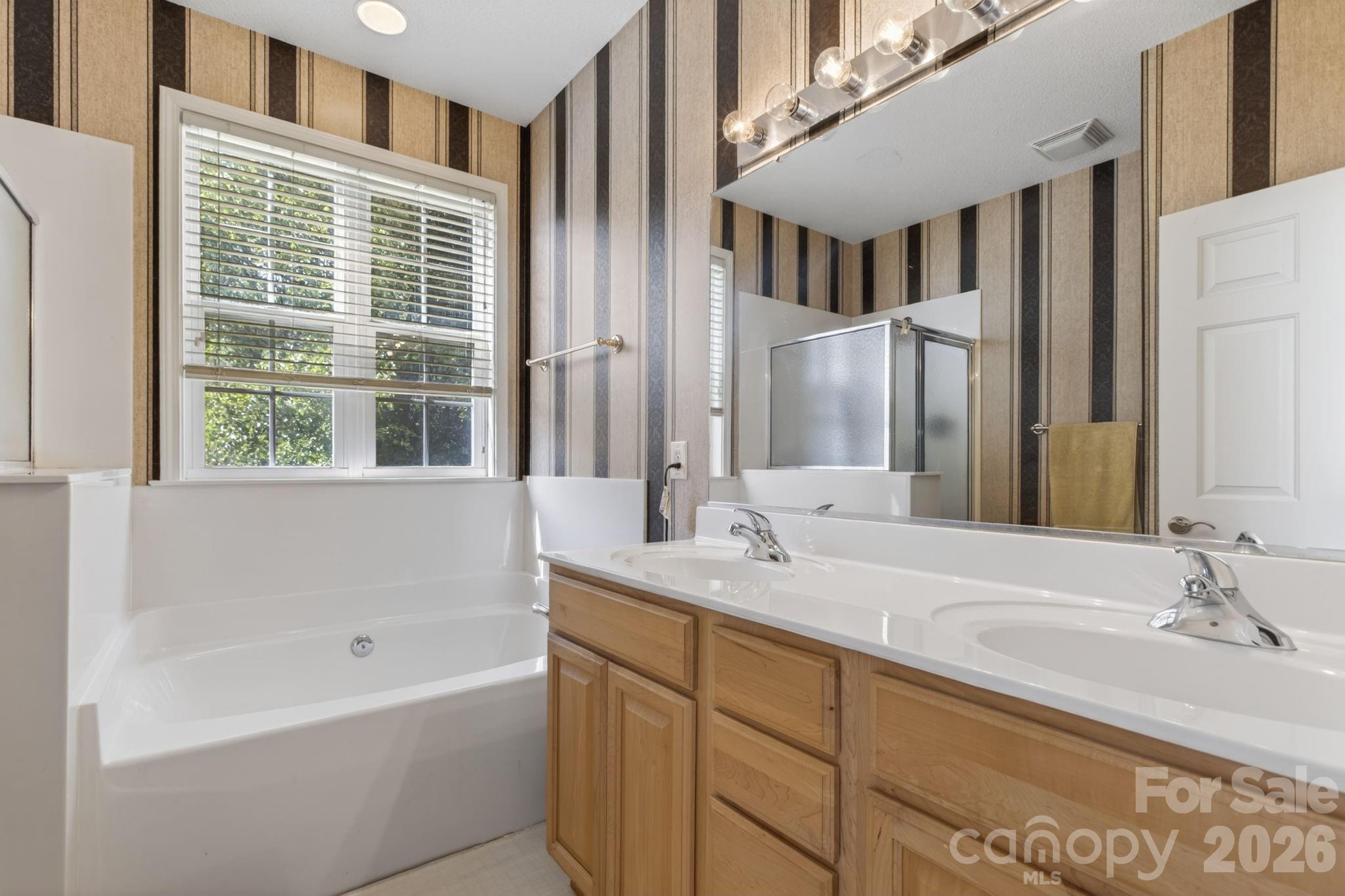 268 Farm Valley Road Fletcher, NC 28732 - Photo 21 of 30 a bathroom with a tub a sink and a mirror