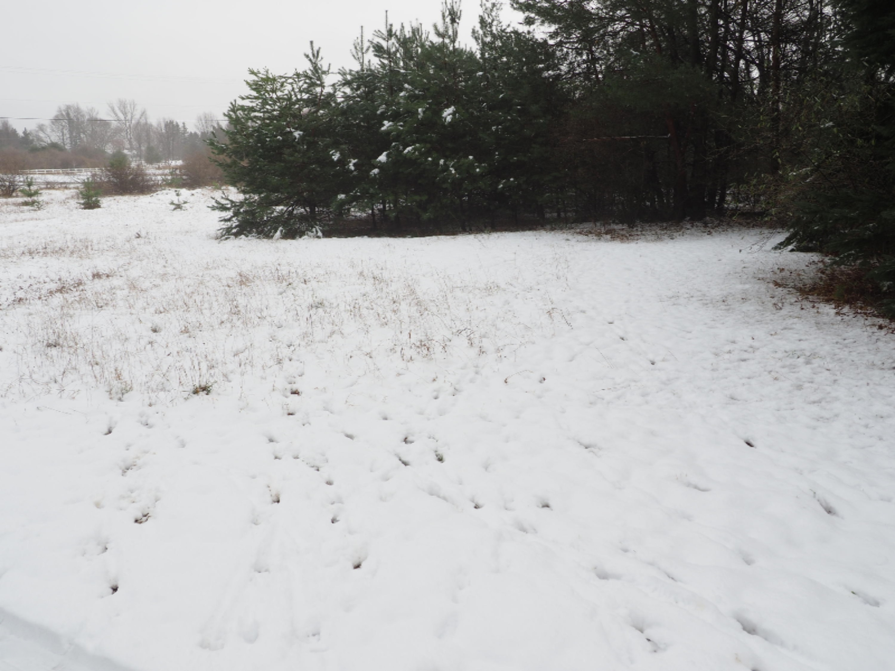 583 East Kott Road Manistee, MI 49660 - Photo 102 of 117 PB240214