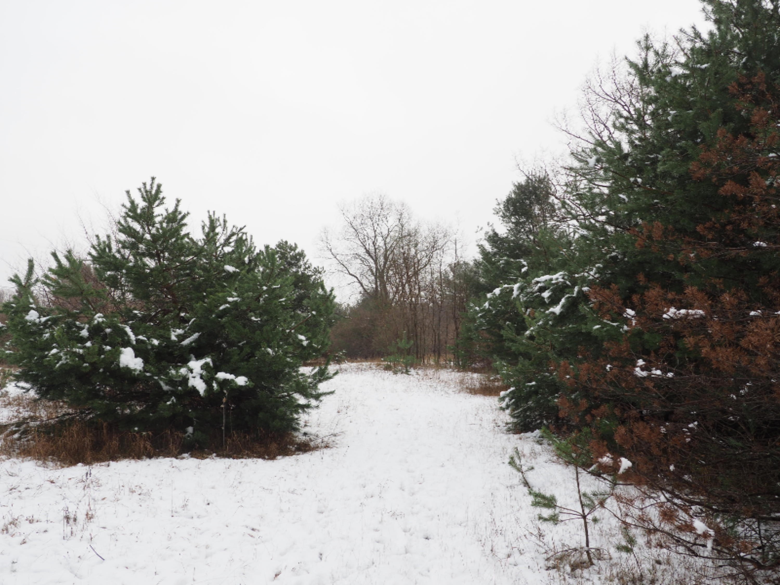 583 East Kott Road Manistee, MI 49660 - Photo 103 of 117 PB240215