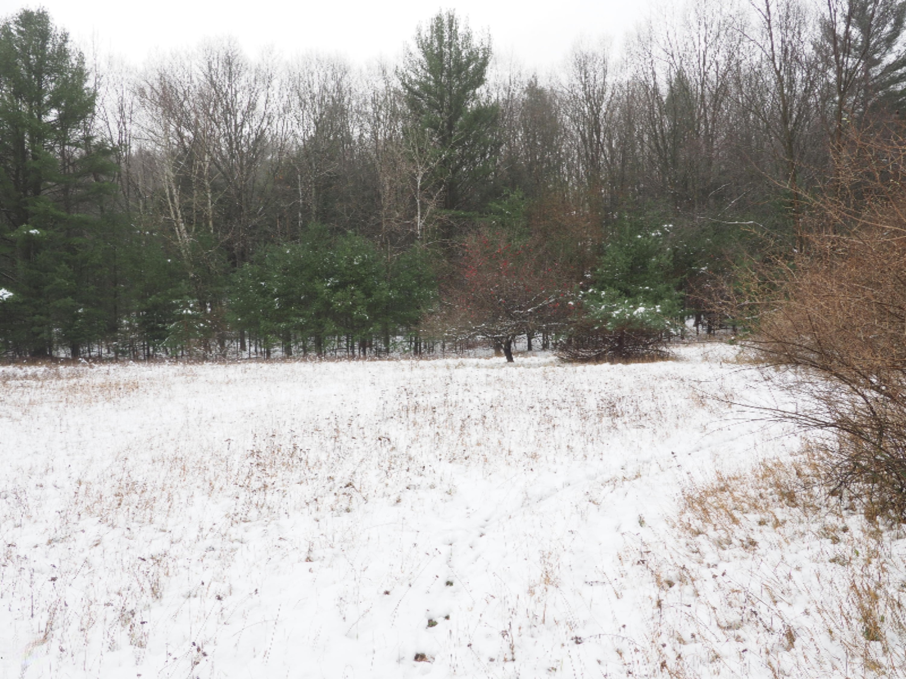 583 East Kott Road Manistee, MI 49660 - Photo 105 of 117 PB240217
