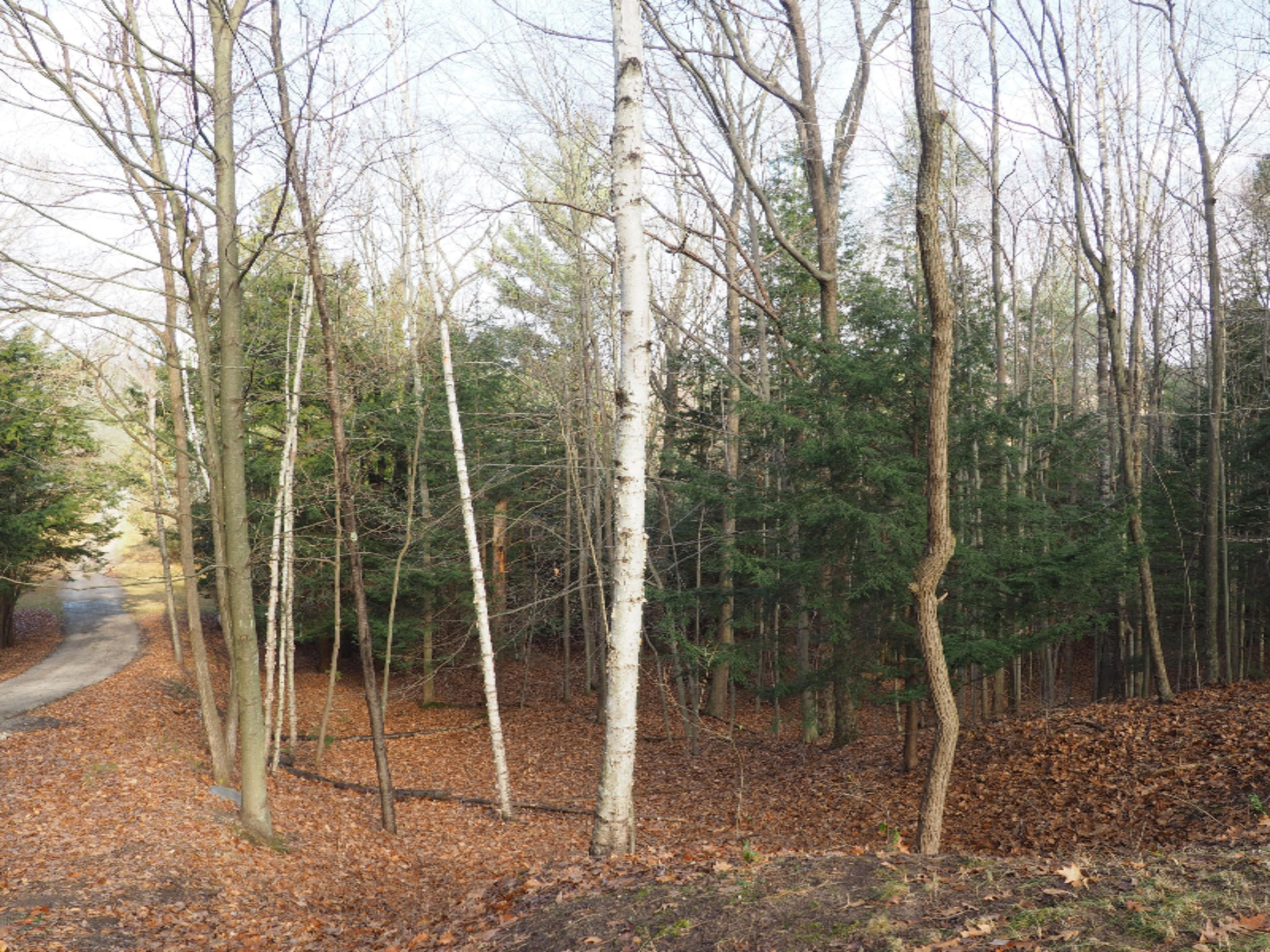 583 East Kott Road Manistee, MI 49660 - Photo 111 of 117 PB280295