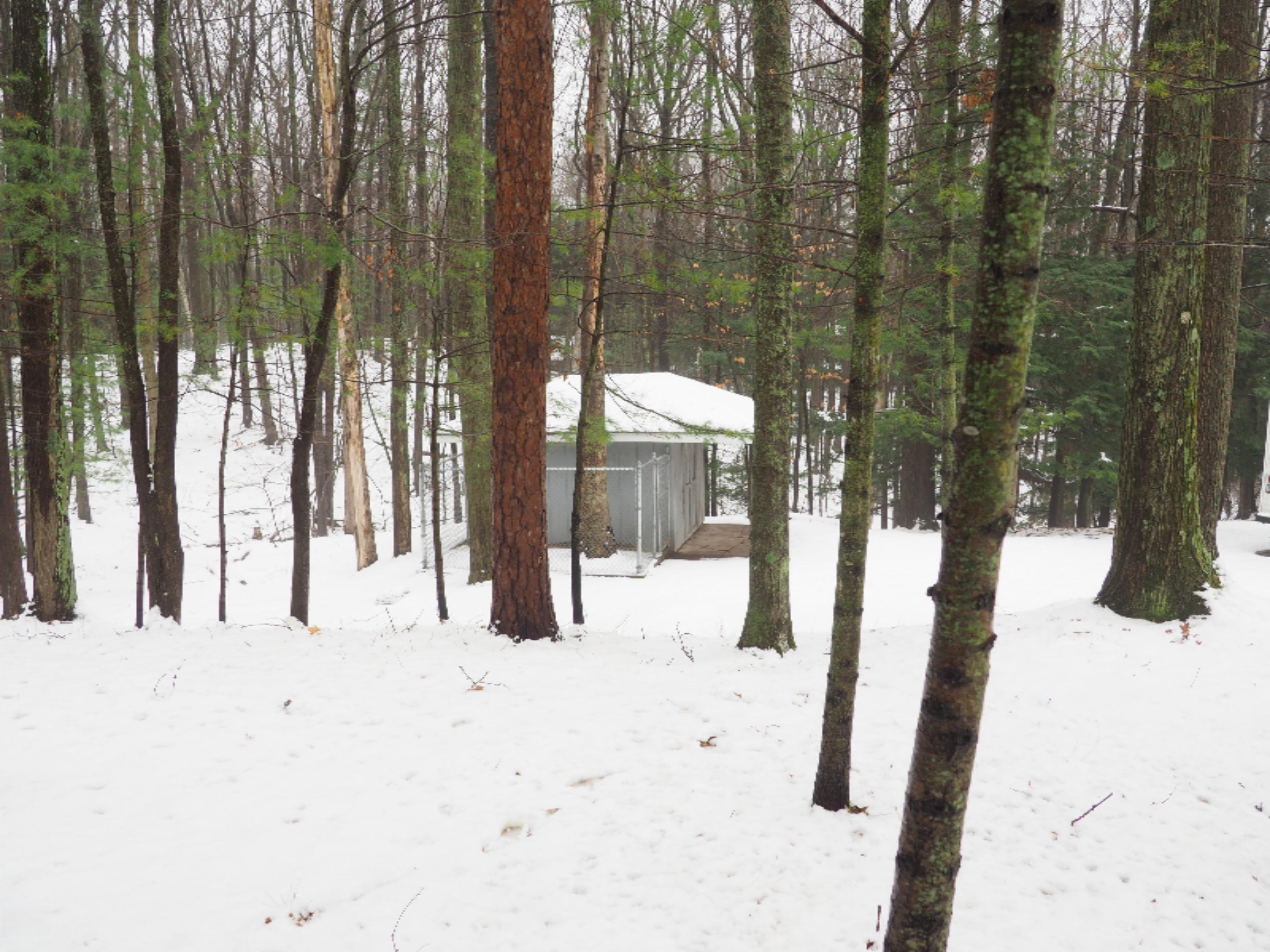 583 East Kott Road Manistee, MI 49660 - Photo 62 of 117 PB240173