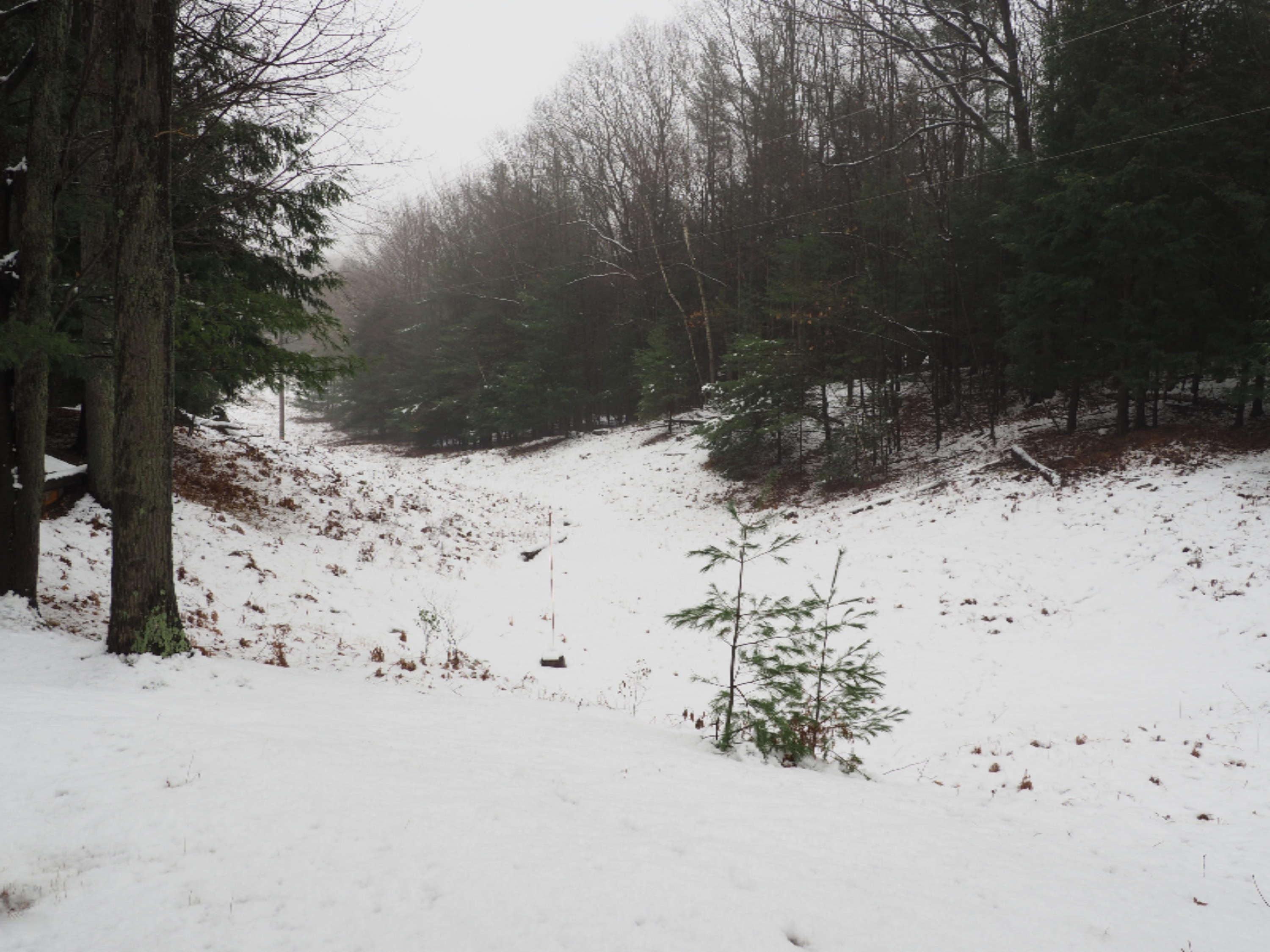583 East Kott Road Manistee, MI 49660 - Photo 69 of 117 PB240180