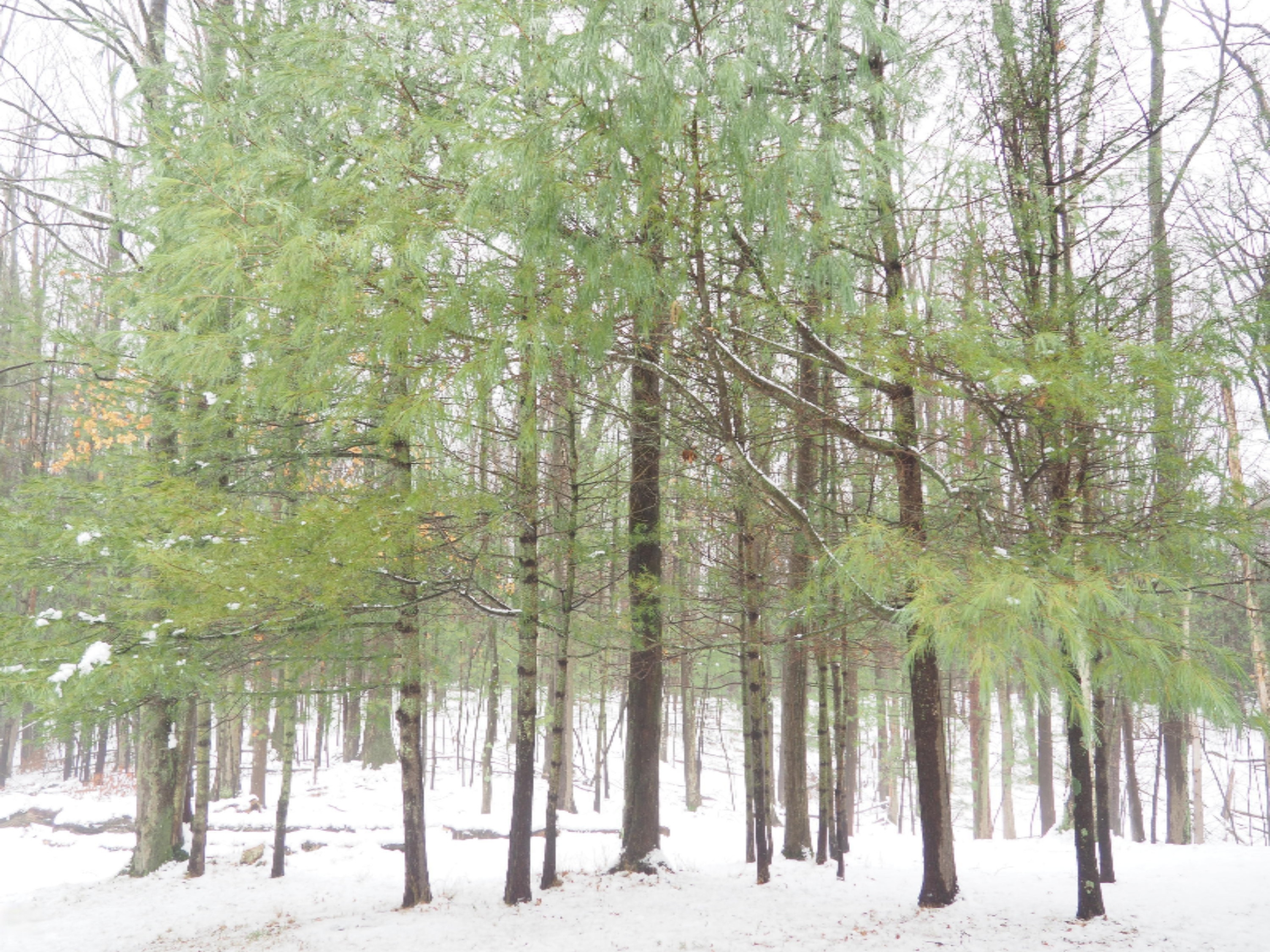 583 East Kott Road Manistee, MI 49660 - Photo 72 of 117 PB240183