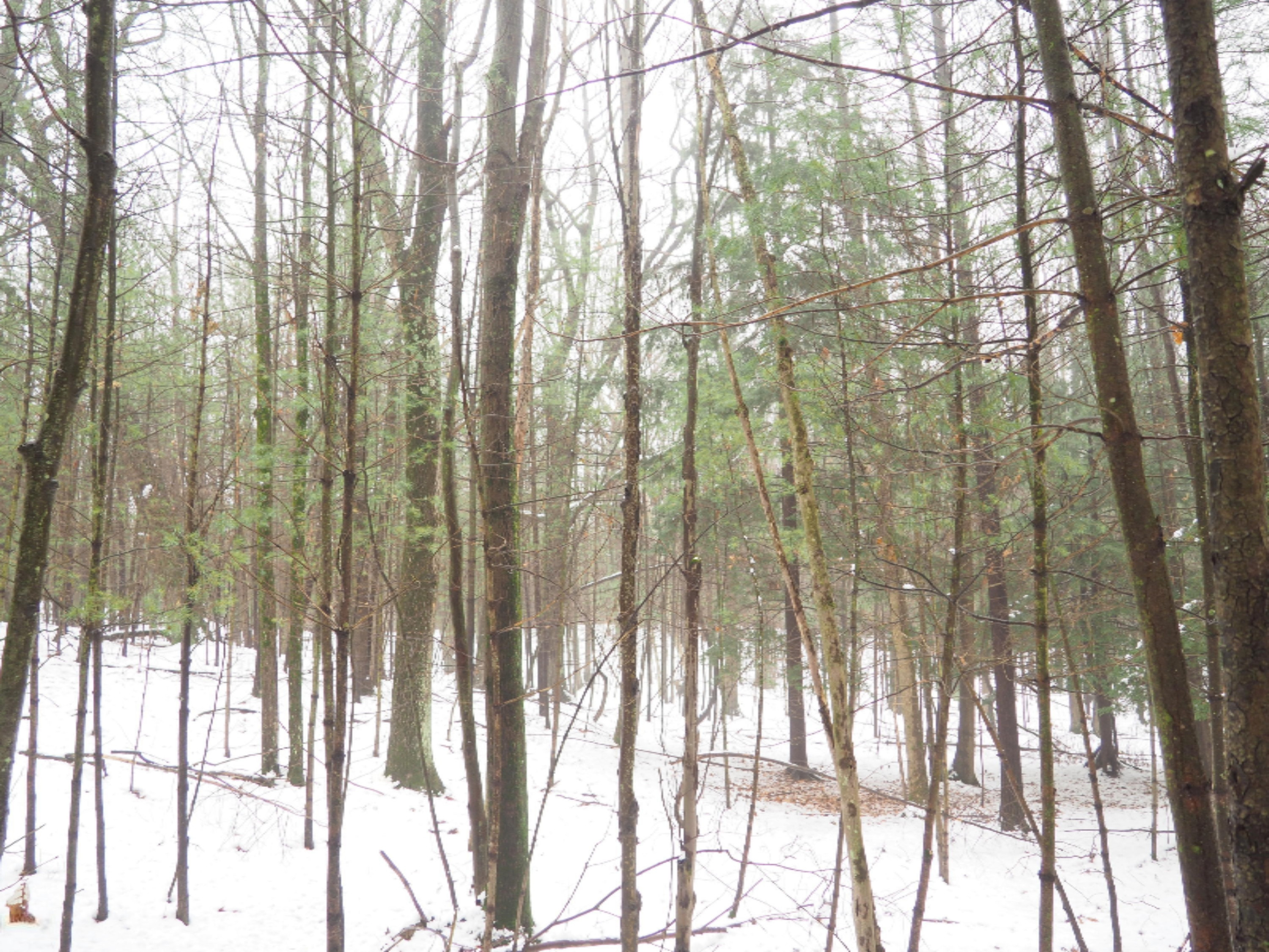 583 East Kott Road Manistee, MI 49660 - Photo 78 of 117 PB240189