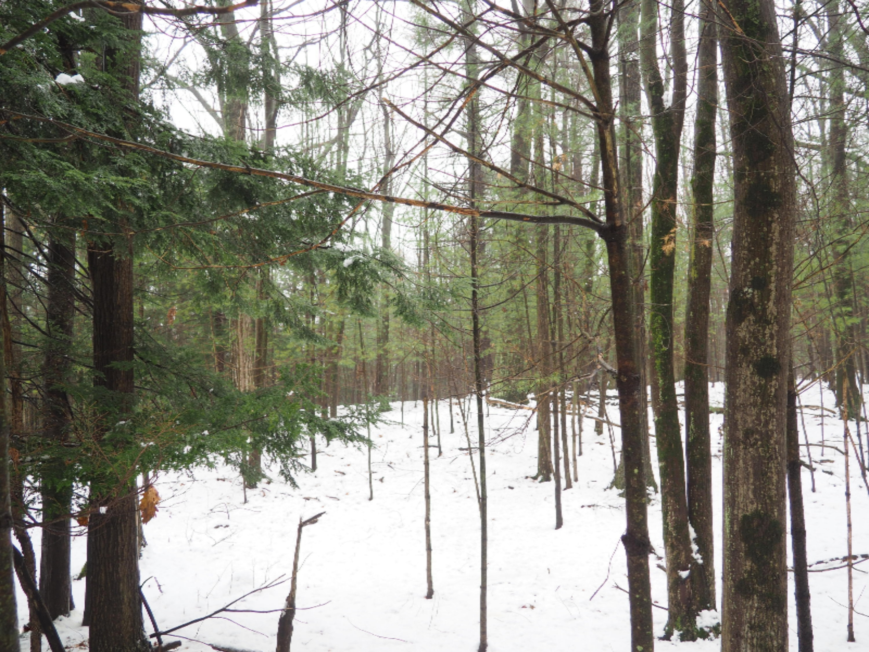 583 East Kott Road Manistee, MI 49660 - Photo 79 of 117 PB240190