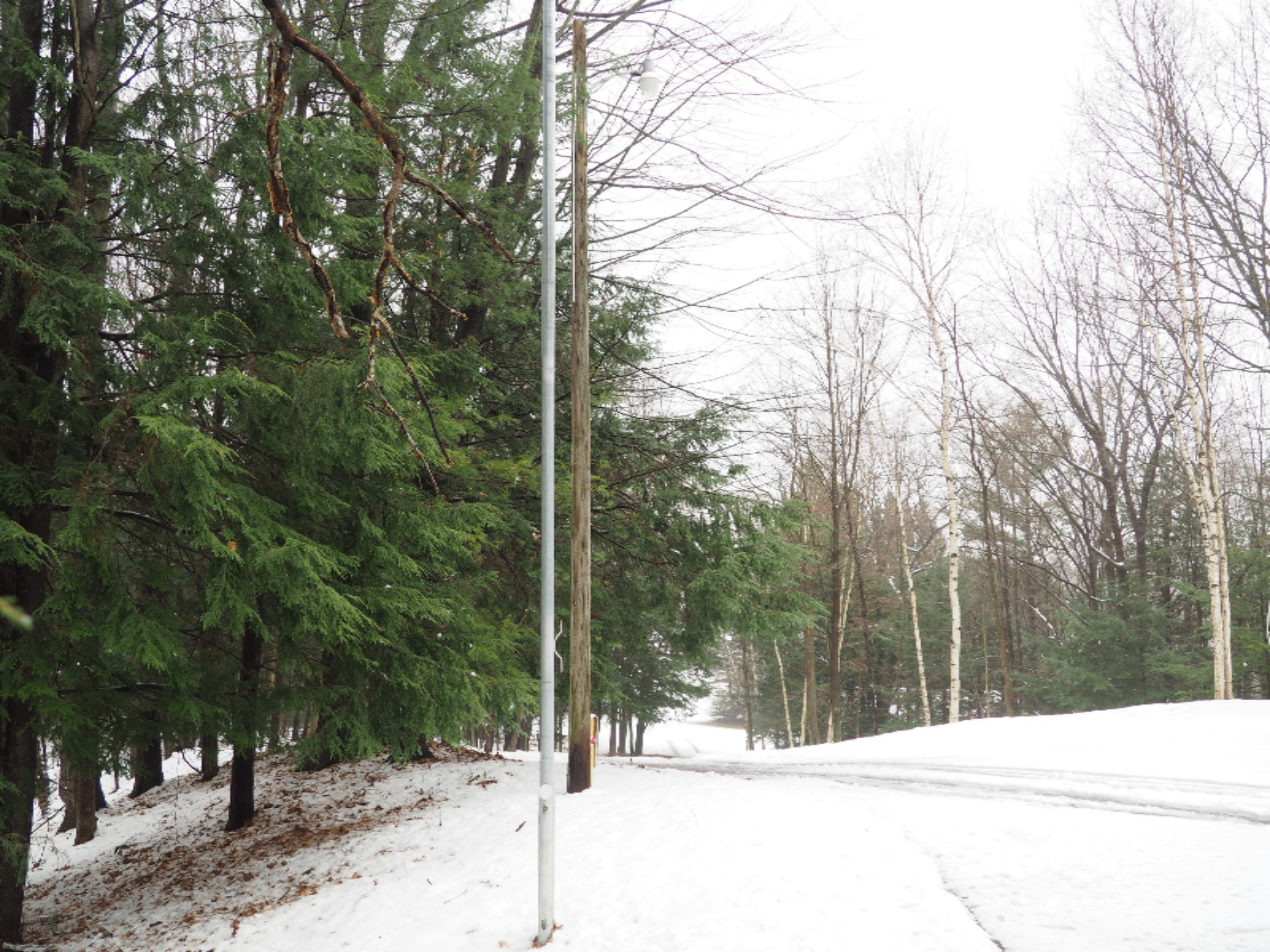 583 East Kott Road Manistee, MI 49660 - Photo 84 of 117 PB240195