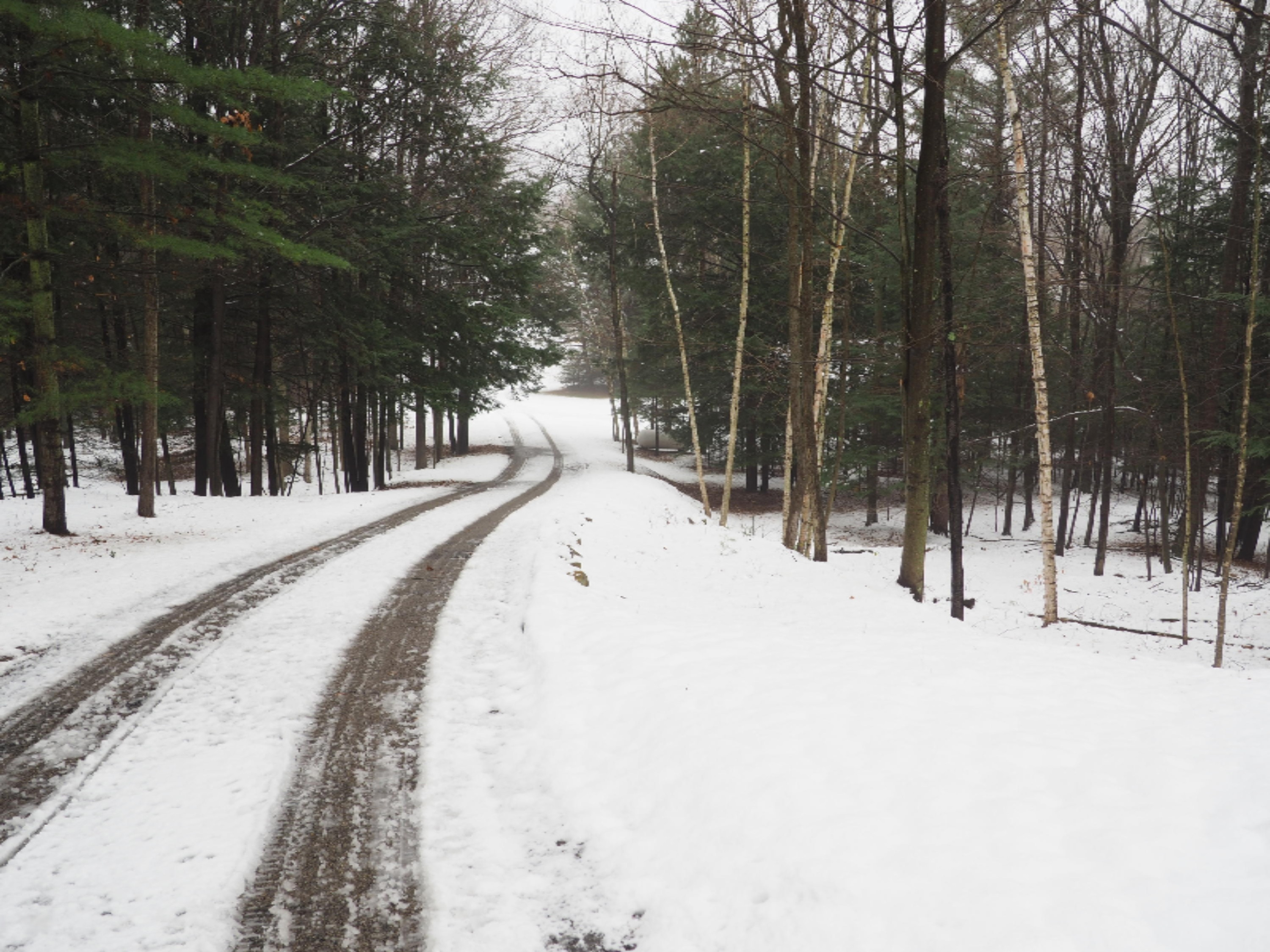 583 East Kott Road Manistee, MI 49660 - Photo 88 of 117 PB240199