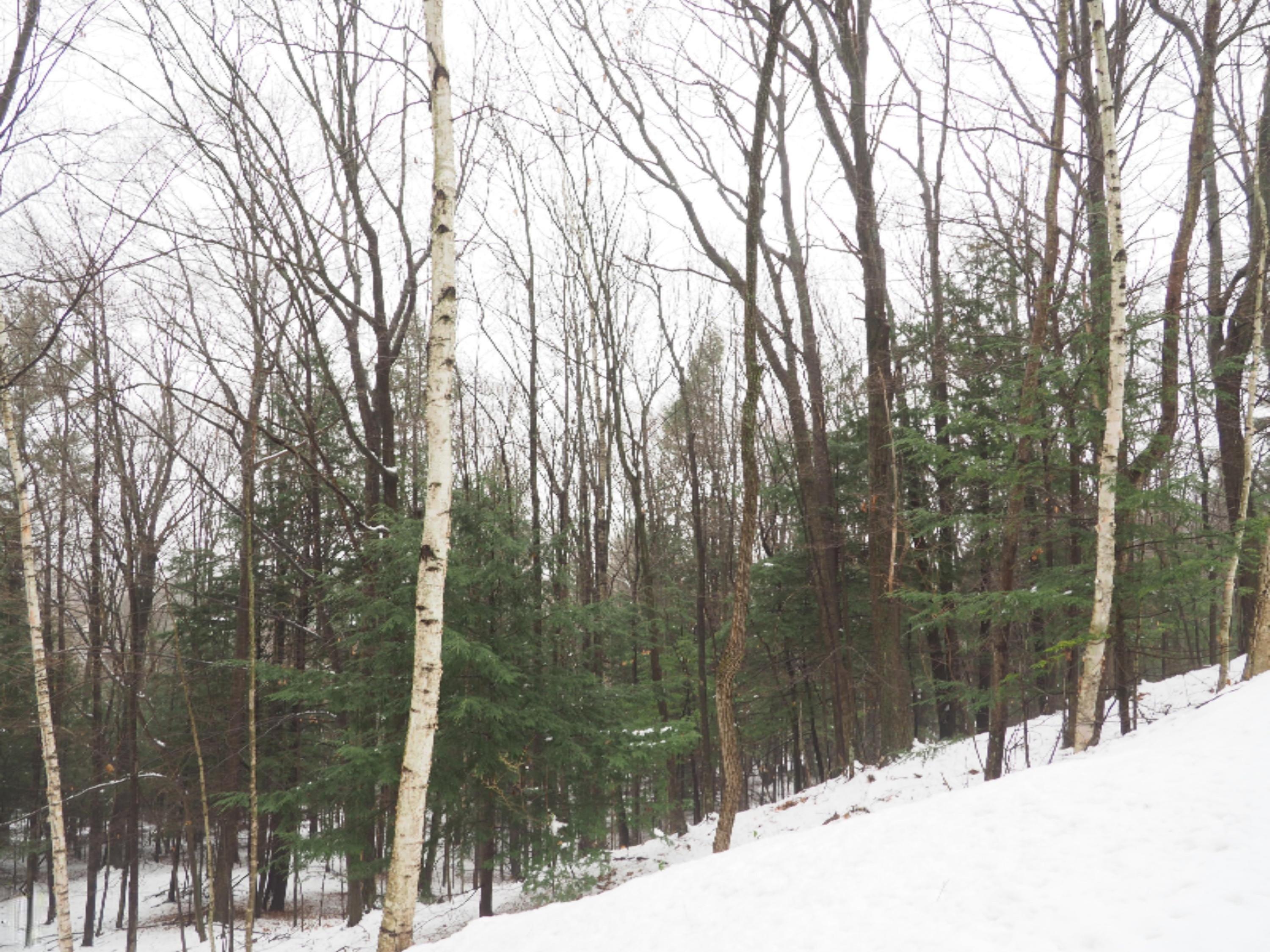 583 East Kott Road Manistee, MI 49660 - Photo 89 of 117 PB240200