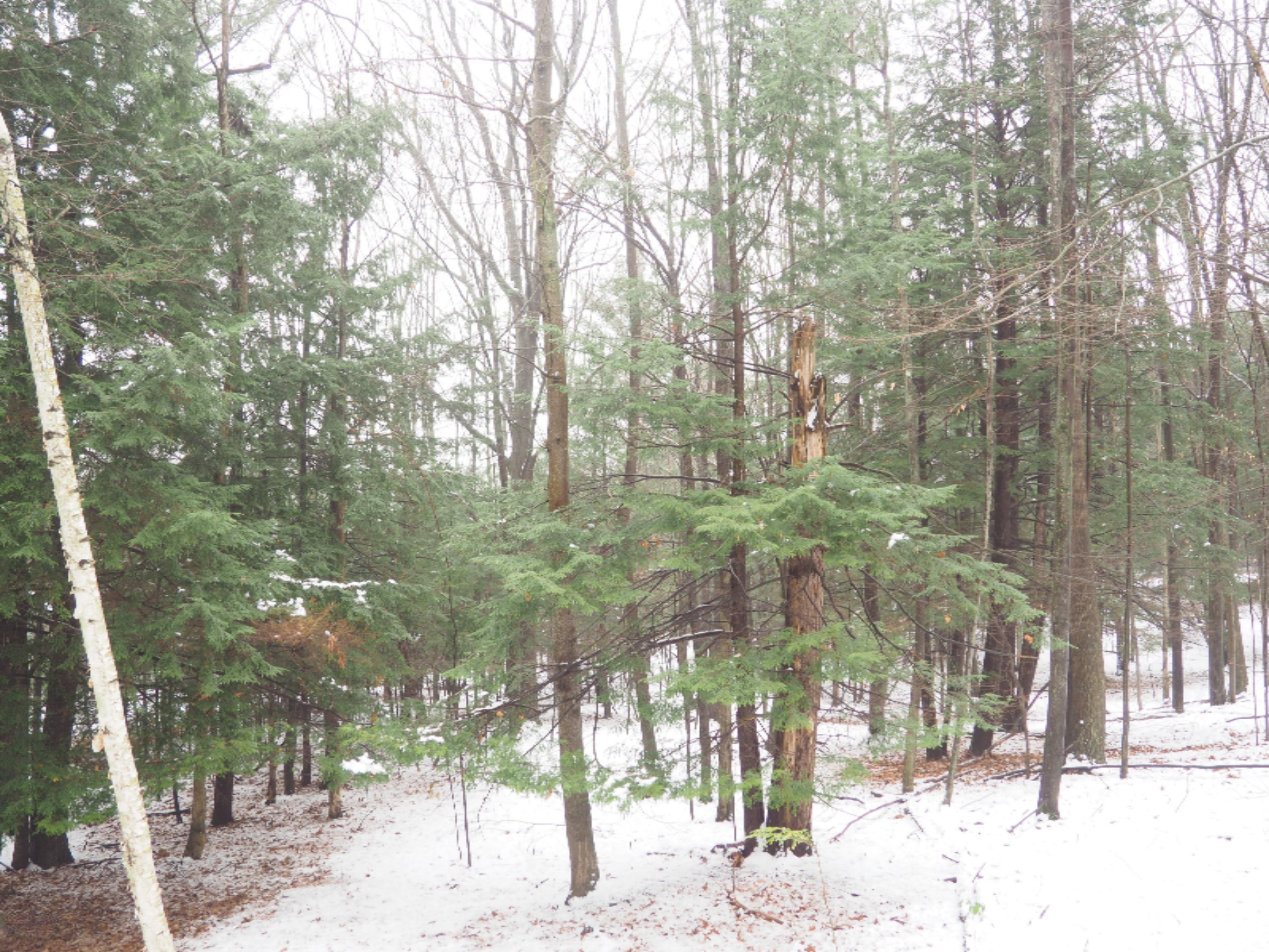 583 East Kott Road Manistee, MI 49660 - Photo 90 of 117 PB240201