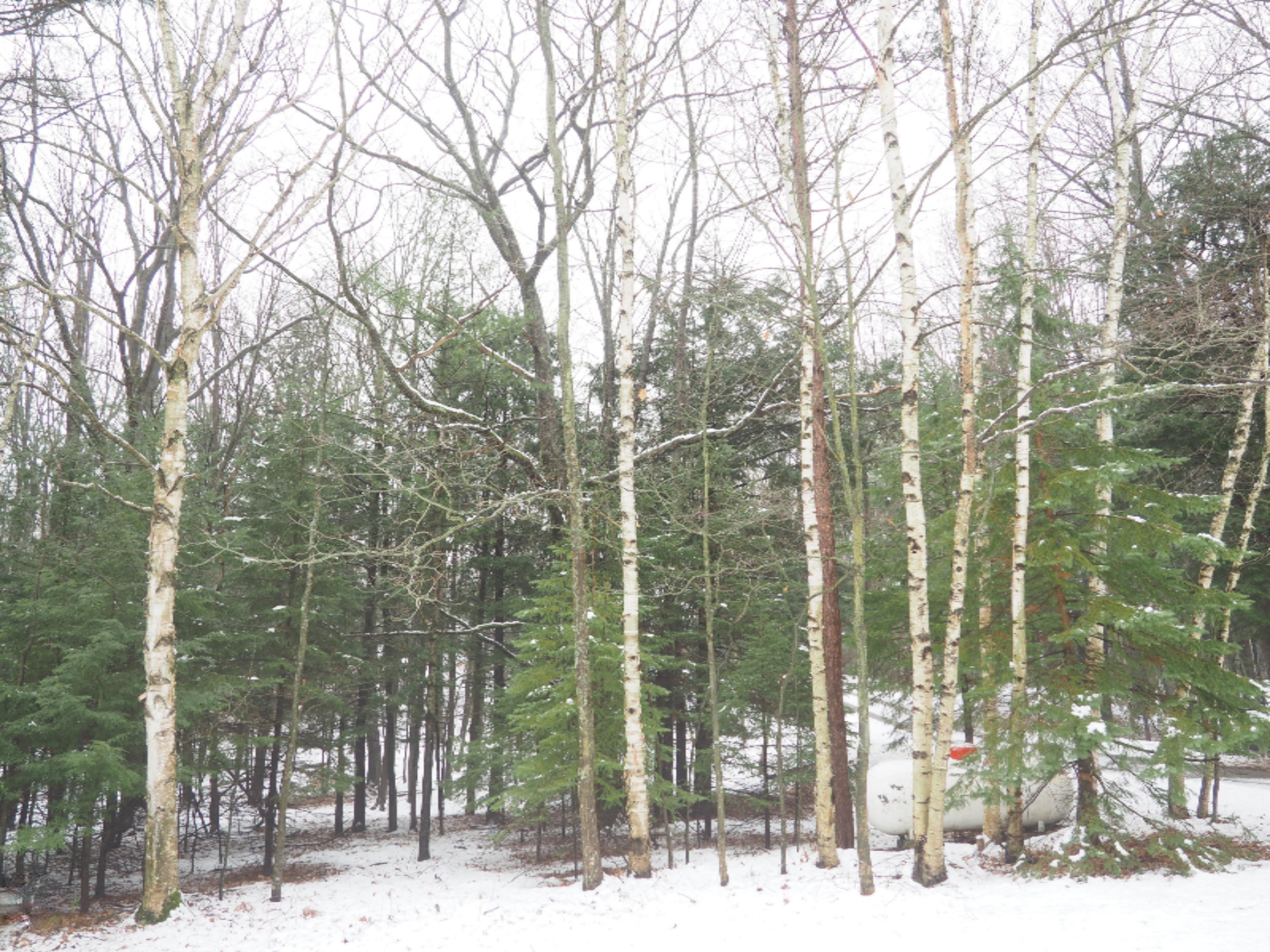 583 East Kott Road Manistee, MI 49660 - Photo 95 of 117 PB240207