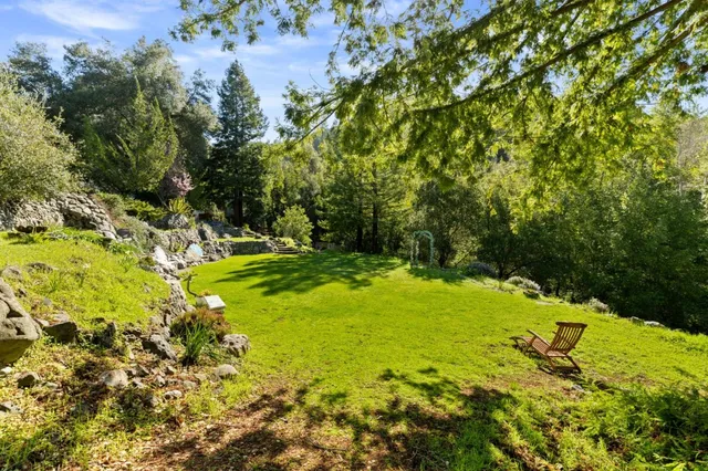 a view of a yard with a tree