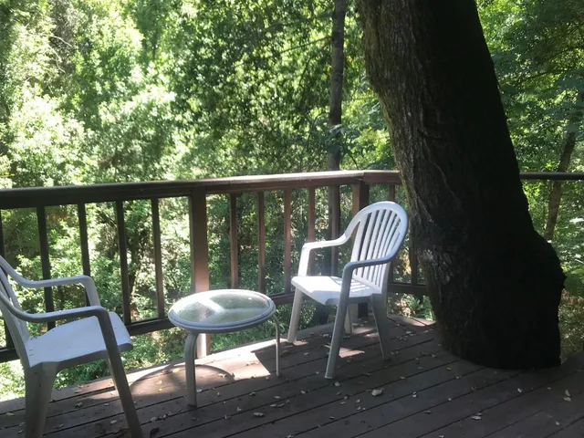 a view of chairs and wooden floor