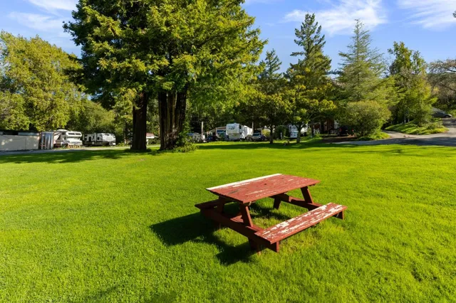 a wooden bench sitting in the grass near a park