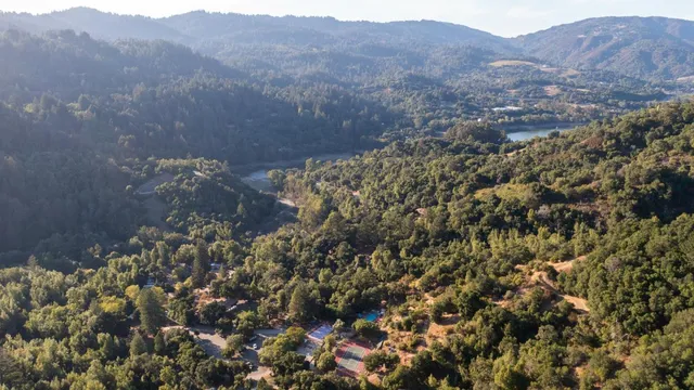 a view of a houses with a lush green forest