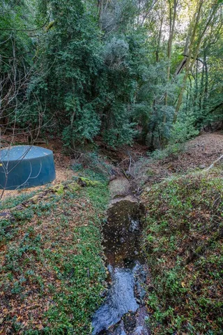 a view of house with a yard