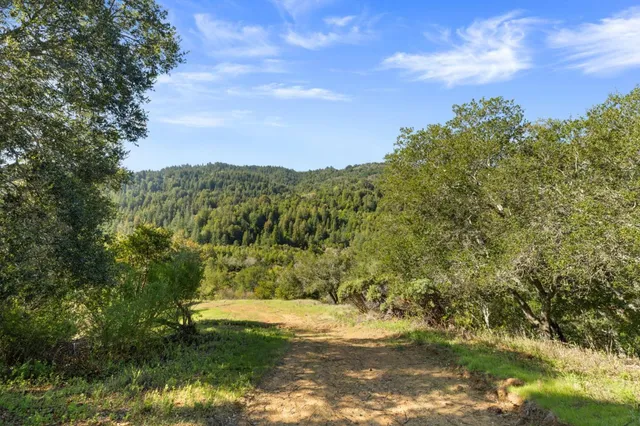 a view of a forest with mountains