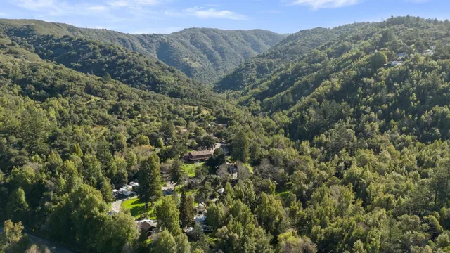 a view of a forest with a street