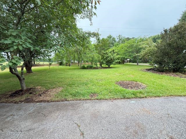 390 Abernathy Road Inman, SC 29349 - Photo 2 of 29