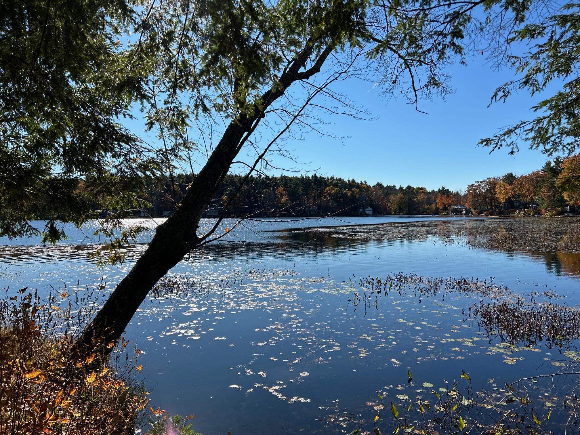 0 Rochester Road Northwood, NH 03261 - Photo 4 of 10