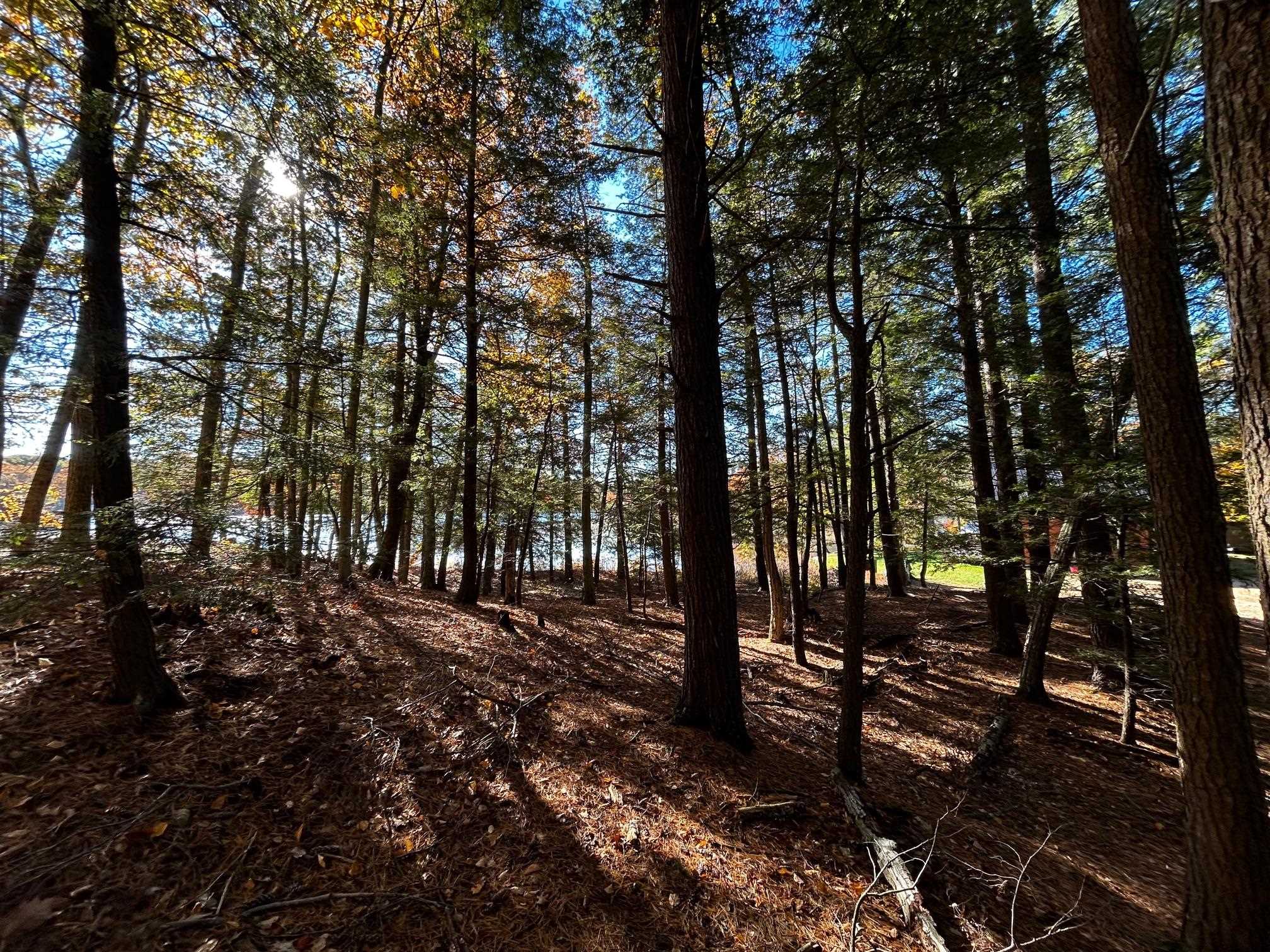 0 Rochester Road Northwood, NH 03261 - Photo 6 of 10