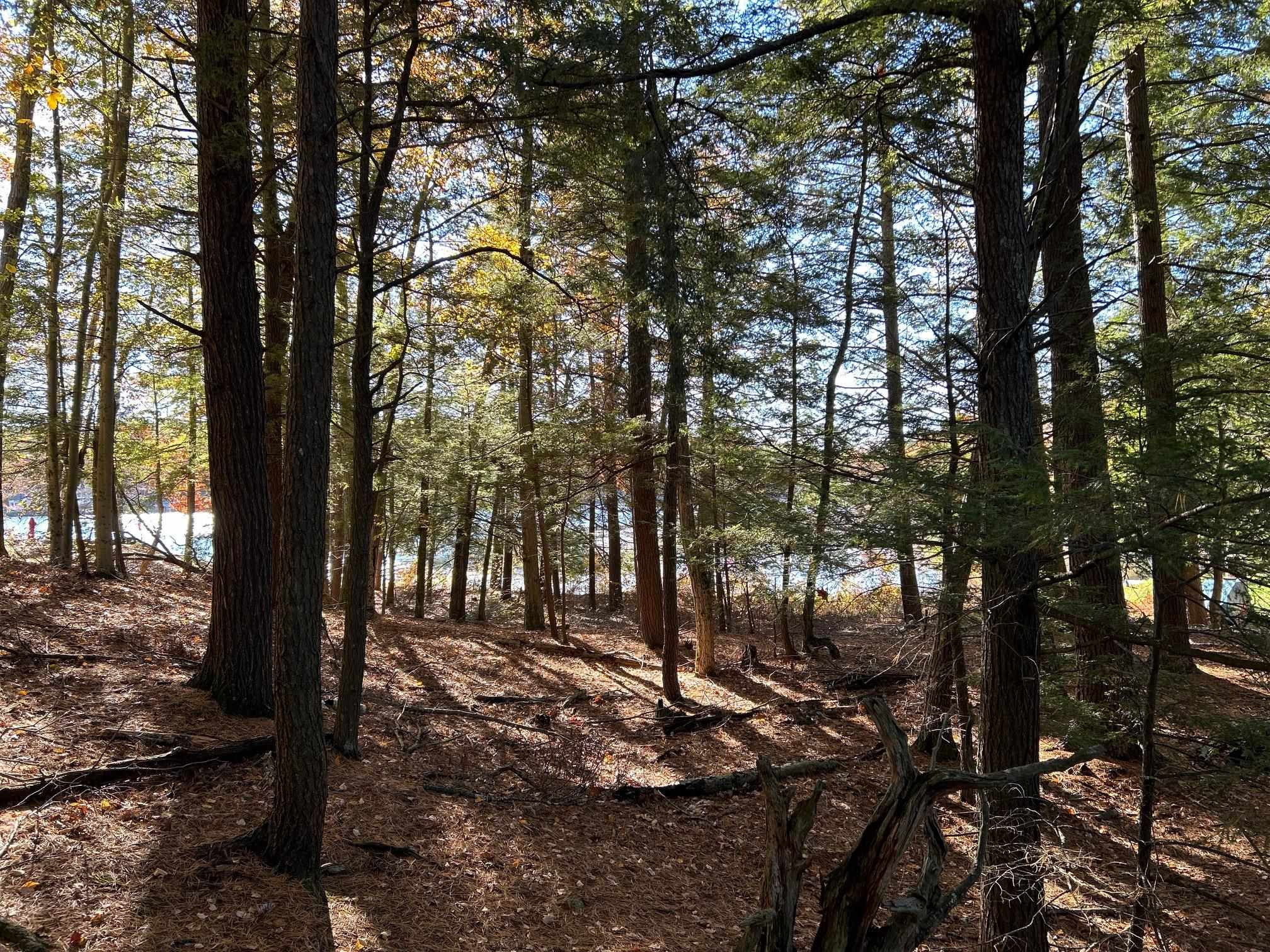 0 Rochester Road Northwood, NH 03261 - Photo 7 of 10