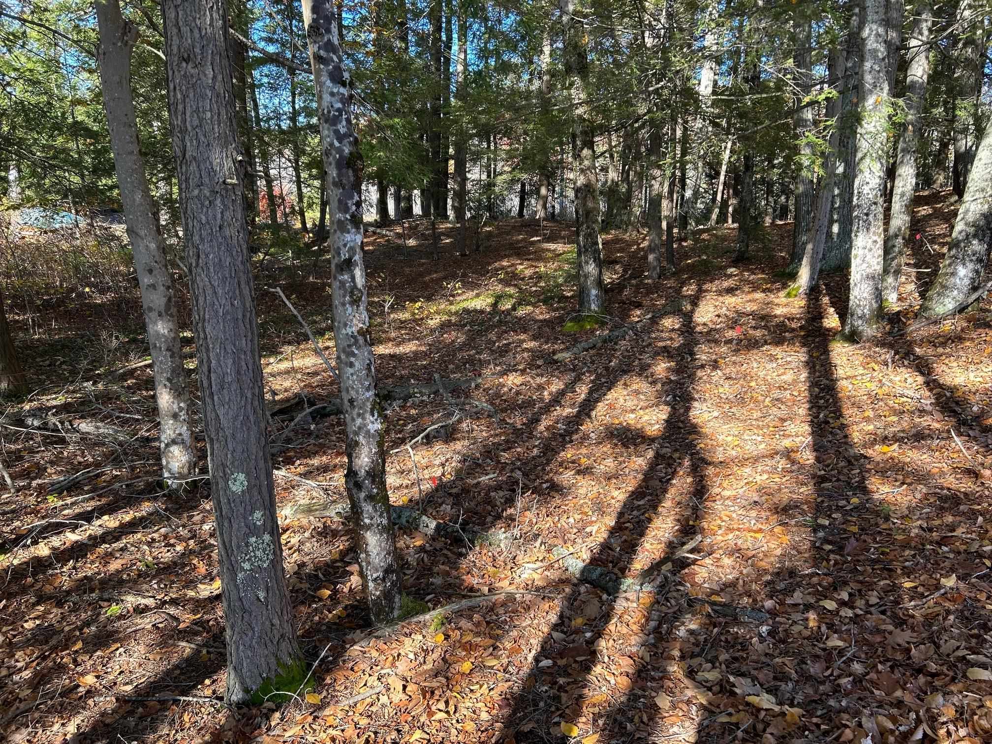 0 Rochester Road Northwood, NH 03261 - Photo 8 of 10