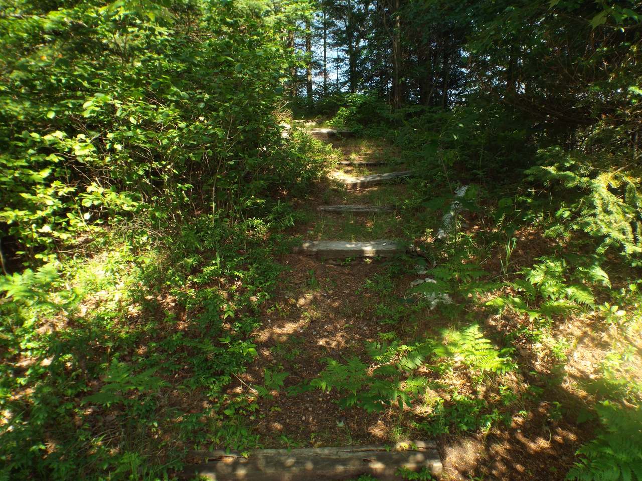 3060 Ed's Lake Road Crandon, WI 54520 - Photo 19 of 38 Gallery Image 19