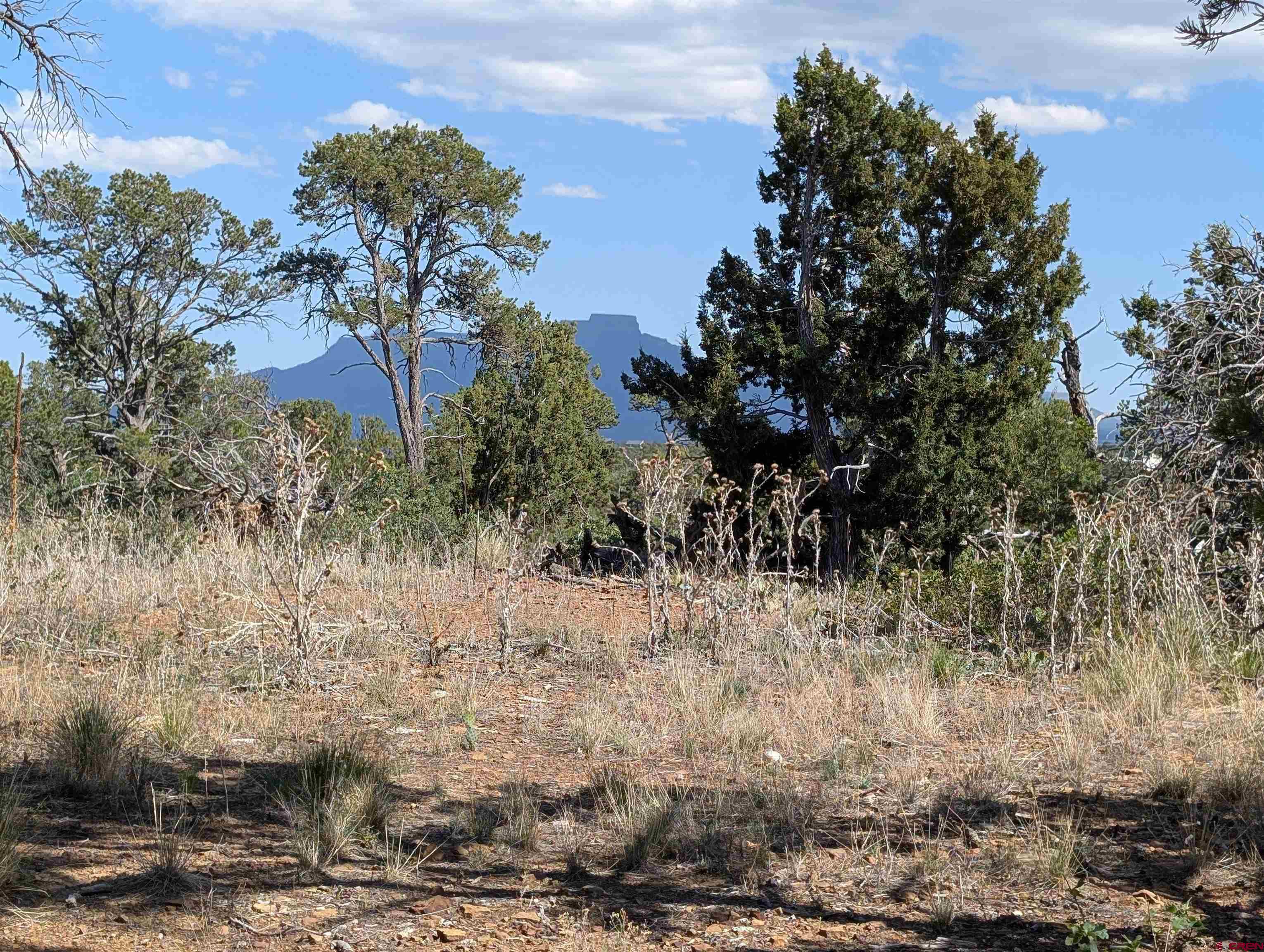 Tbd Tbd Fishers Peak Ranch Trinidad, CO 81082 - Photo 11 of 31