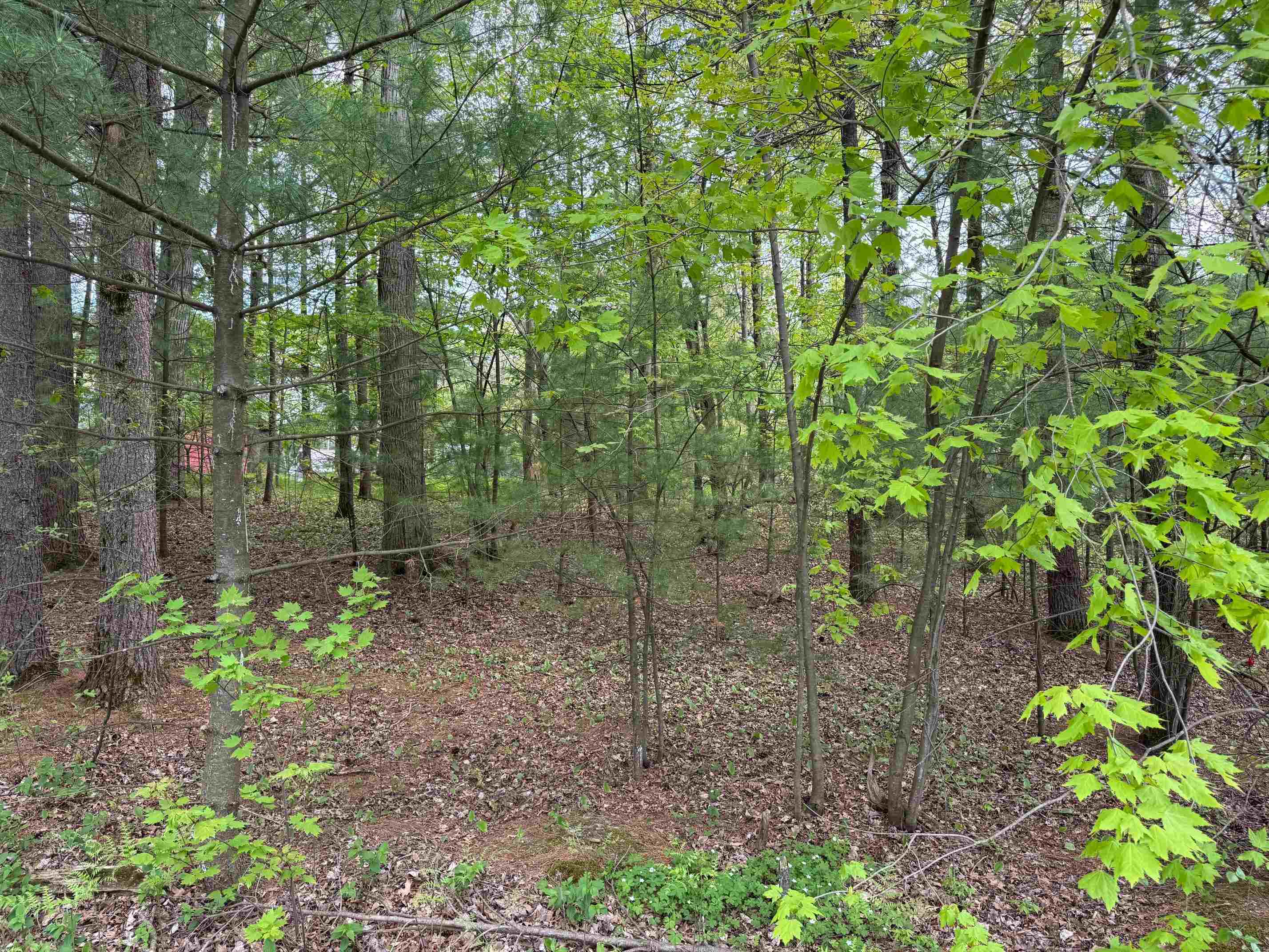 140 Ridge Drive Lake Delton, WI 53965 - Photo 2 of 7