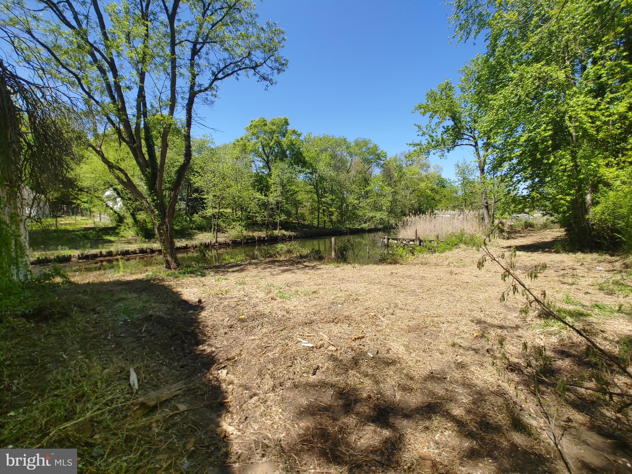 4180 Shoreham Beach Road Edgewater, MD 21037 - Photo 4 of 26 a view of dirt yard with a large tree